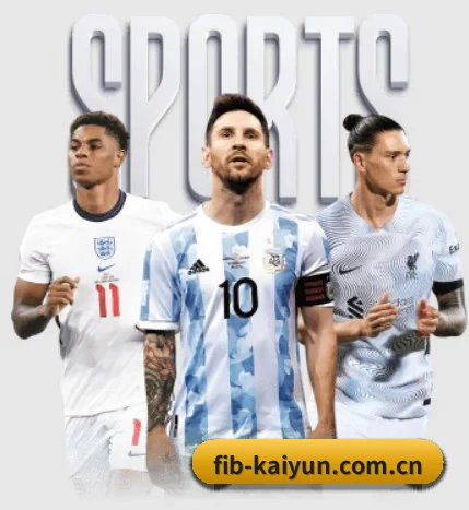五大服务分区,信息按项目分类(kaiyun)